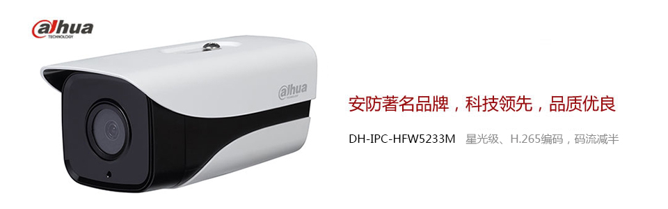 DH-IPC-HFW3100P